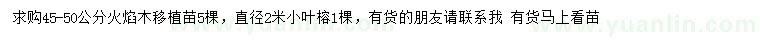 求购45-50公分火焰木、直径2米小叶榕