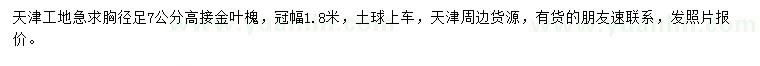 求购胸径足7公分高接金叶槐