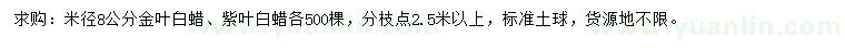 求购米径8公分金叶白蜡、紫叶白蜡