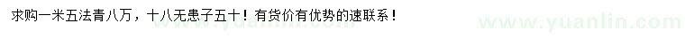 求购1.5米法青、18公分无患子