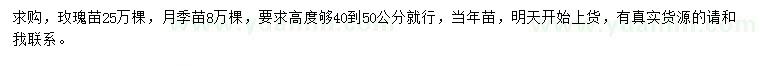 求购高40-50公分玫瑰苗、月季苗