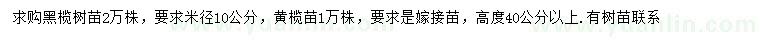 求购米径10公分黑榄树苗、高40公分以上黄榄苗