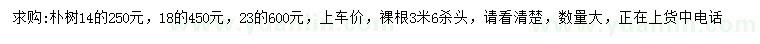 求购14、18、23公分朴树