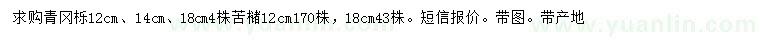 求购12、14、18公分青冈栎、12、18公分苦槠