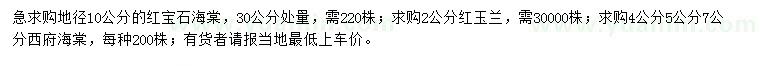 求购红宝石海棠、红玉兰、西府海棠