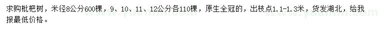 求购米径8、9、10、11、12公分枇杷树