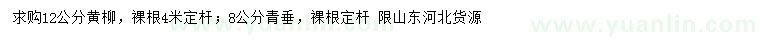 求购12公分黄柳、8公分青垂