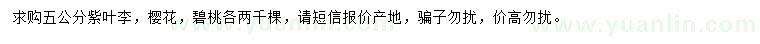 求购紫叶李、樱花、碧桃