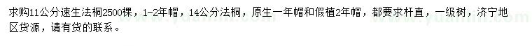 求购11公分速生法桐、14公分法桐