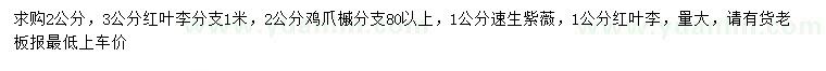 求购红叶李、鸡爪槭、速生紫薇等