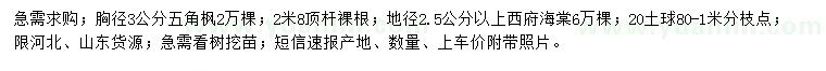 求购胸径3公分五角枫、地径2.5公分以上西府海棠