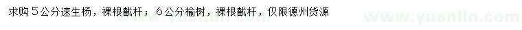 求购5公分速生杨、6公分榆树