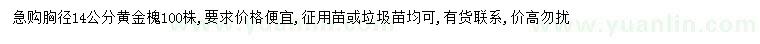 求购胸径14公分黄金槐