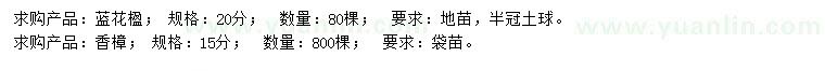 求购20公分蓝花楹、15公分香樟