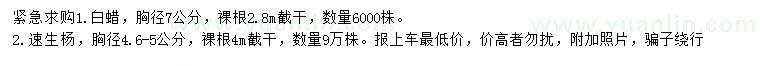 求购胸径7公分白蜡、4.6-5公分速生杨