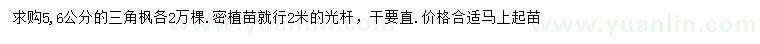 求购5、6公分三角枫