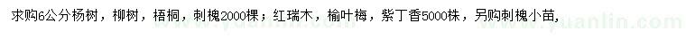 求购杨树、柳树、梧桐等