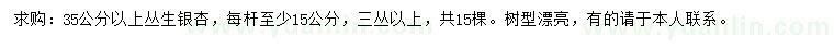 求购35公分以上丛生银杏