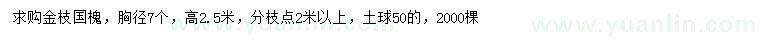 求购高2.5米金枝国槐