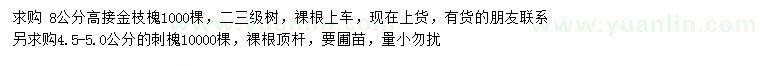 求购8公分高接金枝槐、4.5-5公分刺槐