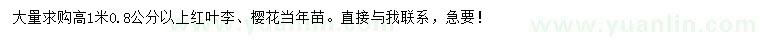 求购高1米0.8公分以上红叶李、樱花