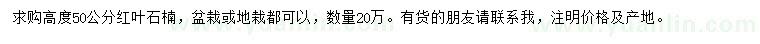 求购高50公分红叶石楠