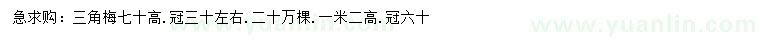 求购高0.7、1.2米三角梅