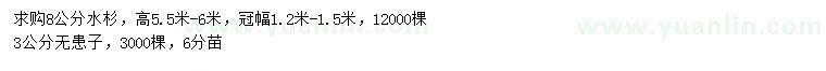 求购8公分水杉、3公分无患子