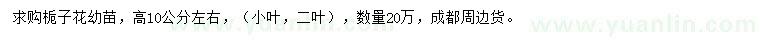 求购高10公分栀子花苗