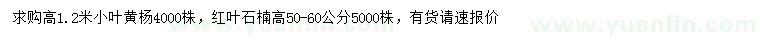 求购高1.2米小叶黄杨、50-60公分红叶石楠
