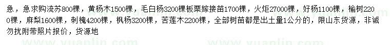 求购流苏、黄杨木、毛白杨等