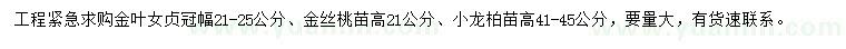 求购金叶女贞、金丝桃、小龙柏