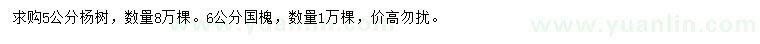 求购5公分杨树、6公分国槐