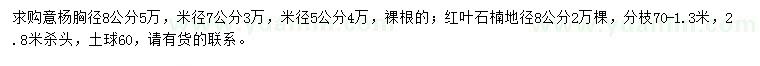 求购胸径8公分、米径5、7公分意杨、地径8公分红叶石楠