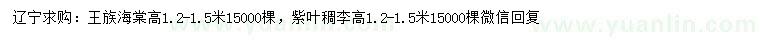 求购高1.2-1.5米王族海棠、紫叶稠李