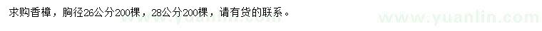 求购胸径26、28公分香樟