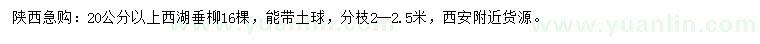 求购20公分以上西湖垂柳