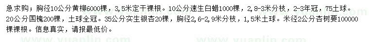 求购黄柳、速生白蜡、国槐等