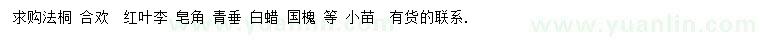 求购法桐、合欢、红叶李等