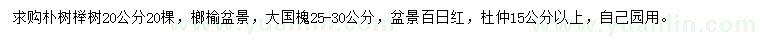 求购朴树、榉树、大国槐等