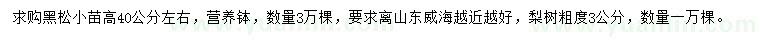 求购高40公分左右黑松小苗、粗度3公分梨树