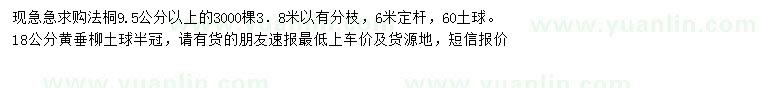 求购9.5公分以上法桐、18公分黄垂柳