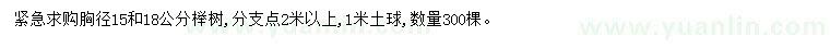 求购胸径15、18公分榉树