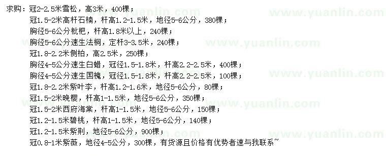 求购雪松、石楠、枇杷等