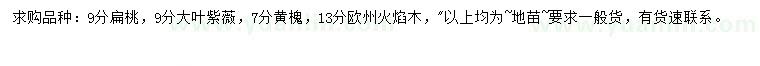 求购扁桃、大叶紫薇、黄槐等