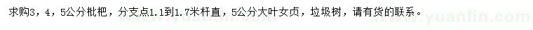 求购3、4、5公分枇杷、5公分大叶女贞