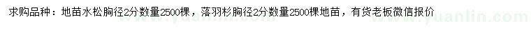 求购胸径2公分水松、落羽杉