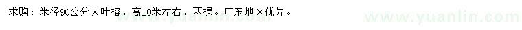 求购米径90公分大叶榕