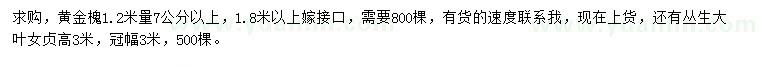 求购1.2米量7公分以上黄金槐、高3米丛生大叶女贞
