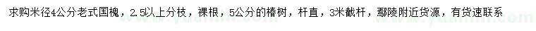 求购米径4公分老式国槐、5公分椿树